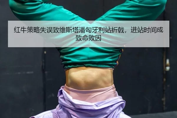 hong-niu-ce-lve-shi-wu-zhi-wei-si-ta-pan-xiong-ya-li-zhan-zhe-ji-jin-zhan-shi-jian-cheng-zhi-ming-bai-yin-2-409.jpg