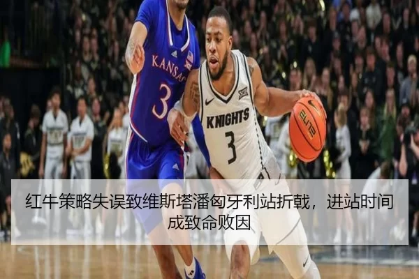 红牛策略失误致维斯塔潘匈牙利站折戟，进站时间成致命败因